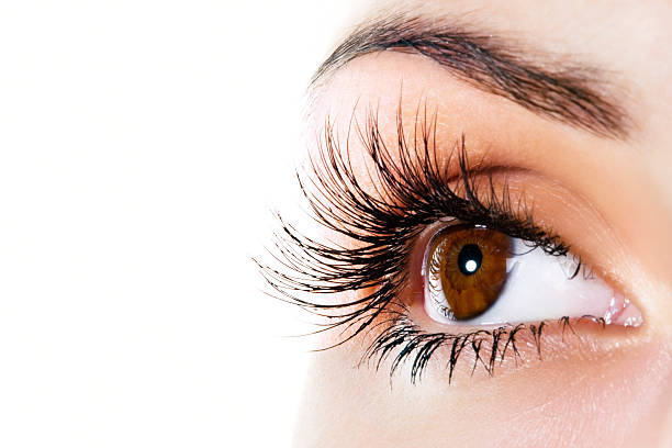 VOLUMI-LOOK - Wimpern- und Augenbrauen-Conditioner-Serum
